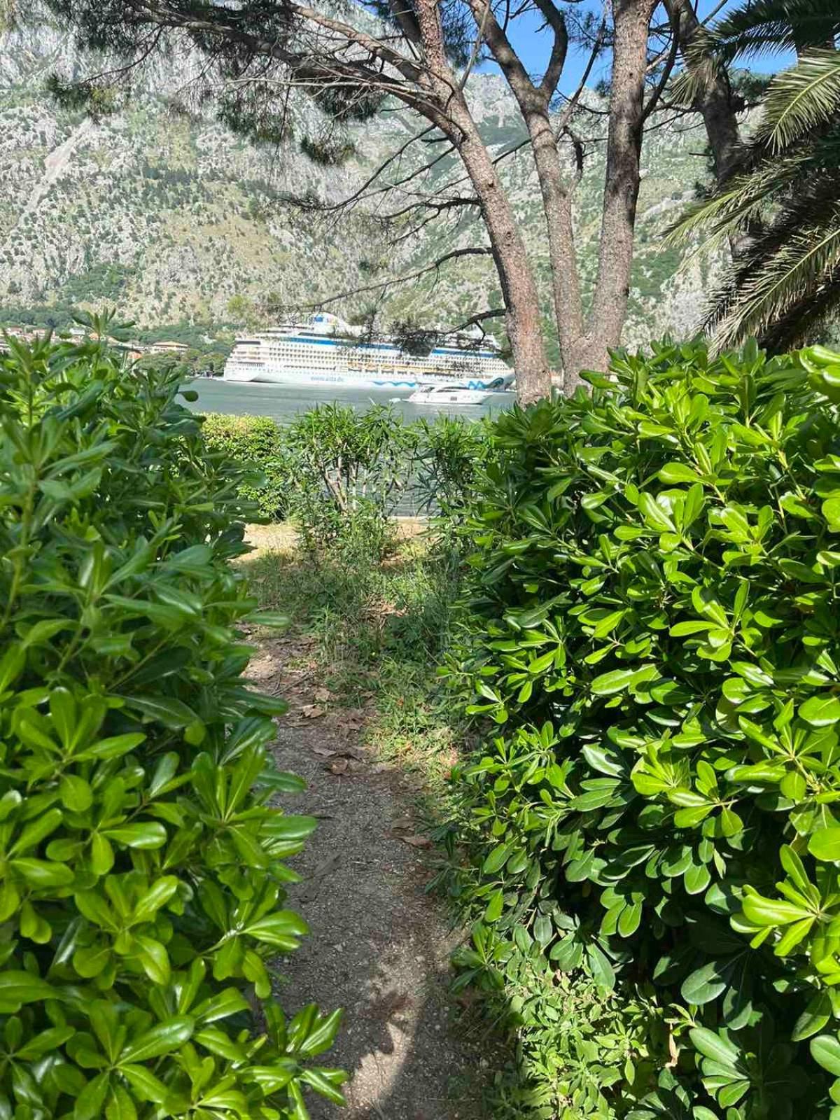 דירות קוטור Asija מראה חיצוני תמונה